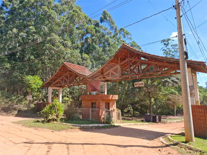 Foto REO1089113