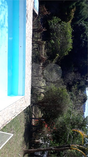 Foto REO1089113