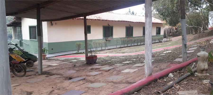 Foto REO1089113