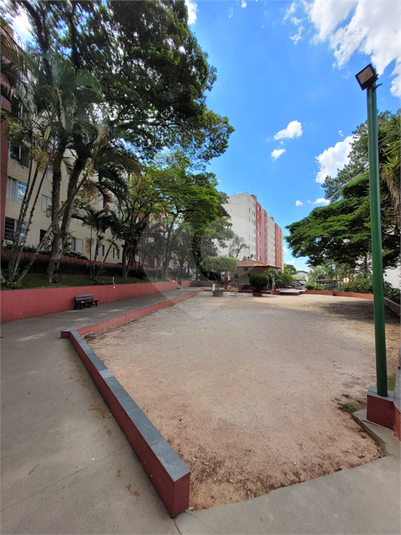 Foto REO1089124