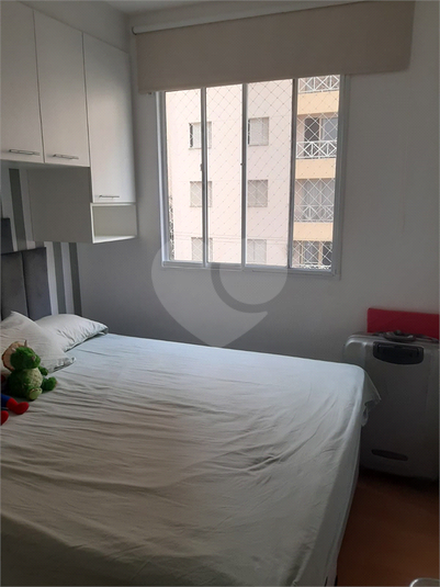 Foto REO1089151