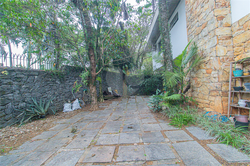 Foto REO1089175