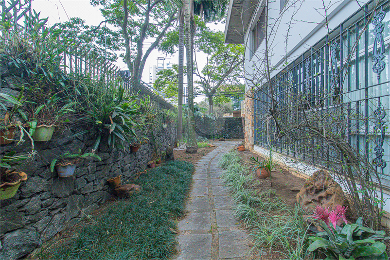 Foto REO1089175