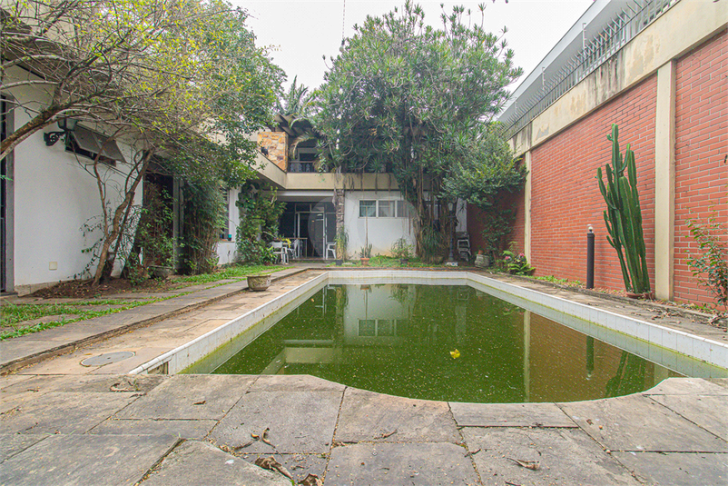 Foto REO1089175