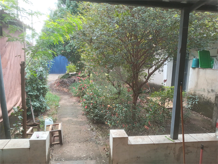 Foto REO1089177