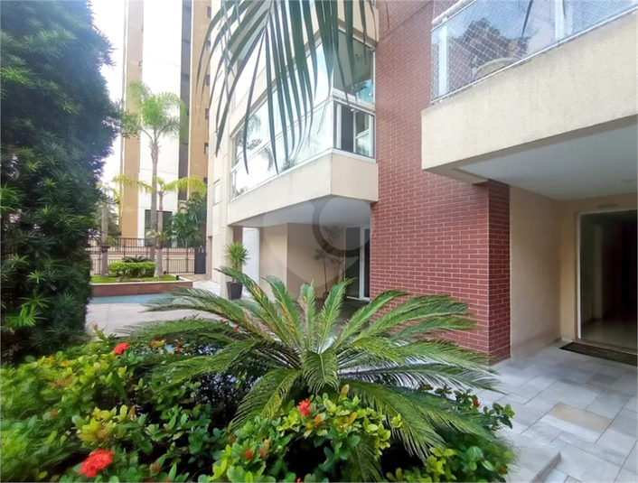 Foto REO1089185