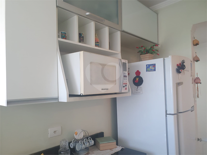 Foto REO1089193