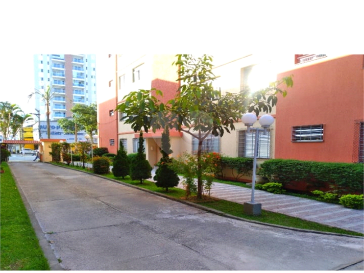 Foto REO1089194