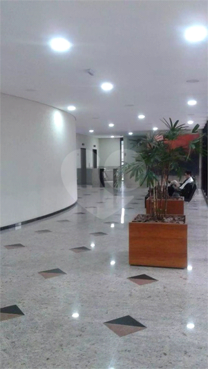Foto REO1089198