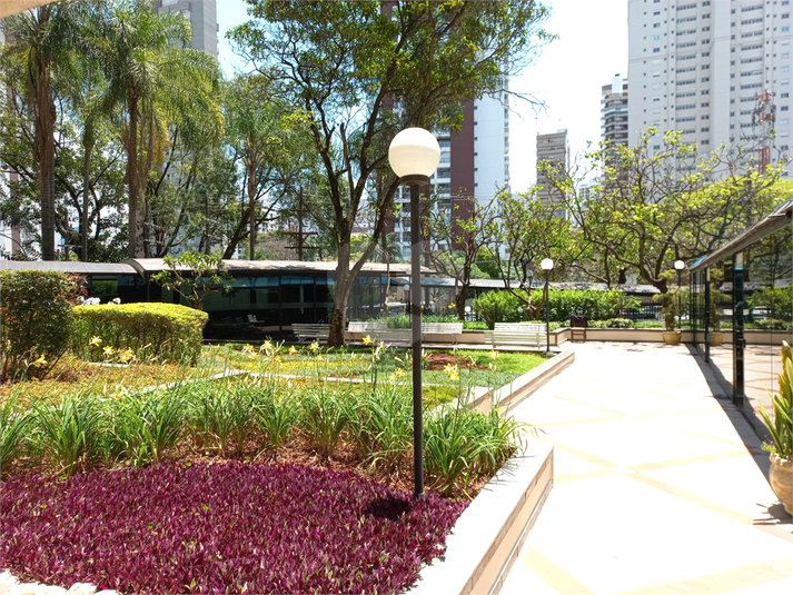 Foto REO1089202