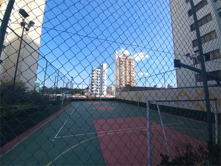 Foto REO1089210