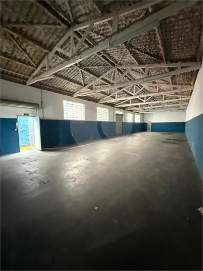 Foto REO1089224