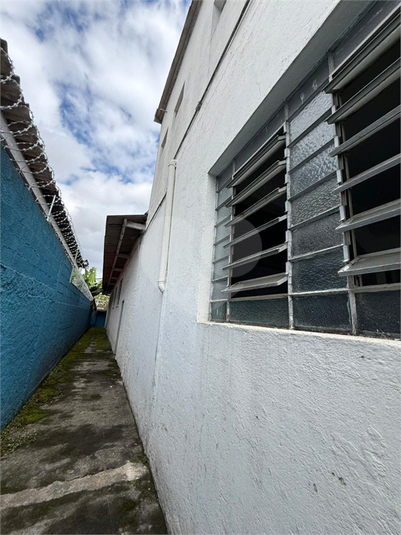 Foto REO1089224