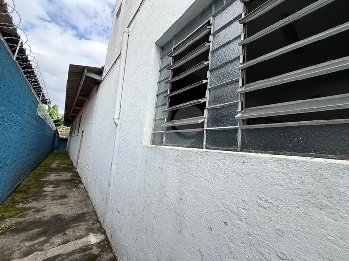 Foto REO1089224