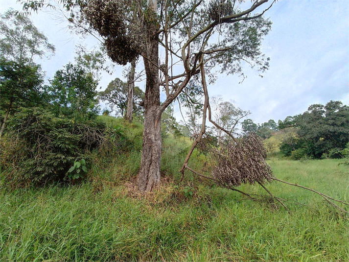 Foto REO1089228