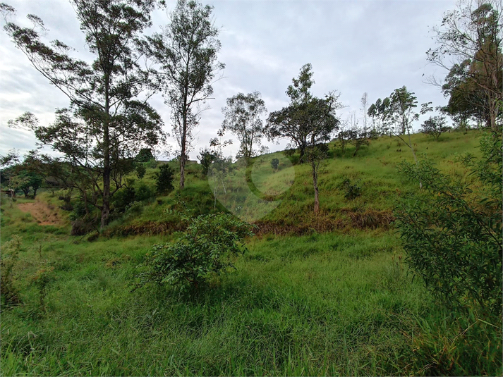 Foto REO1089228