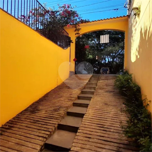 Foto REO1089236