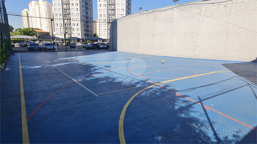 Foto REO1089245