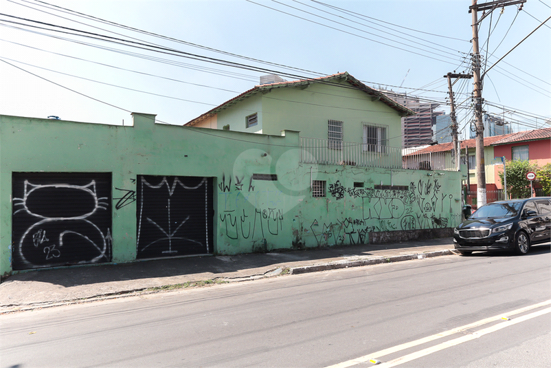 Foto REO1089249