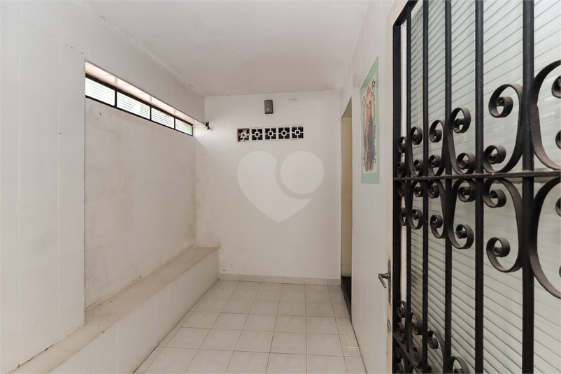 Foto REO1089249