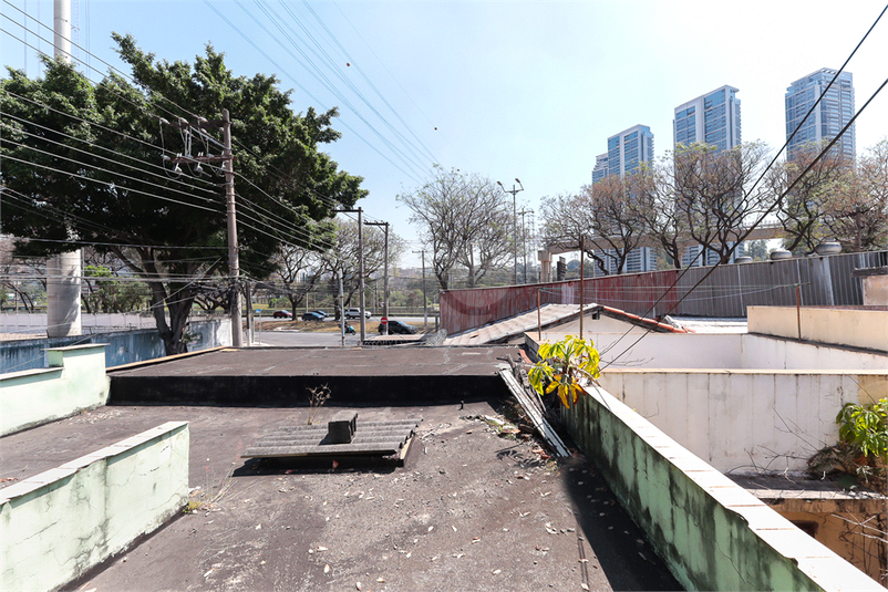Foto REO1089249