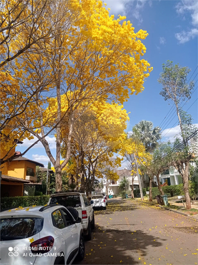 Foto REO1089252