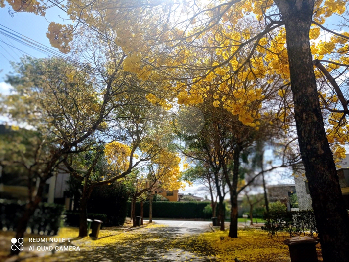 Foto REO1089252