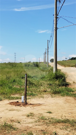 Foto REO1089257