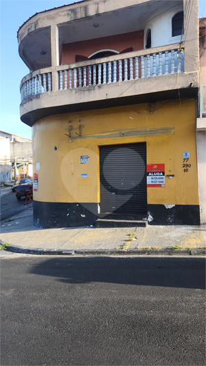 Foto REO1089259
