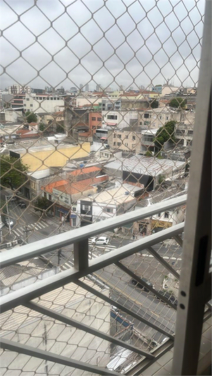 Foto REO1089260