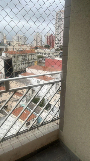Foto REO1089260