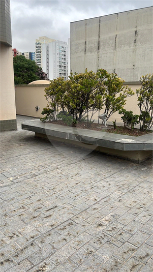 Foto REO1089260