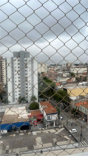 Foto REO1089260