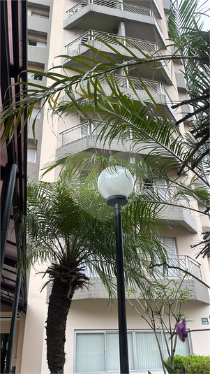 Foto REO1089260