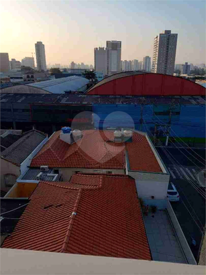 Foto REO1089265