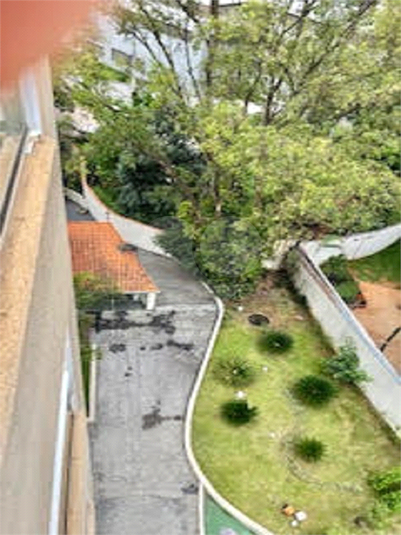 Foto REO1089267
