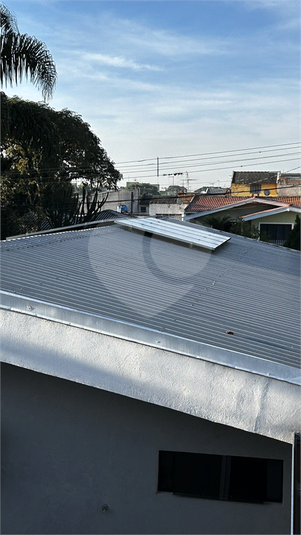 Foto REO1089273