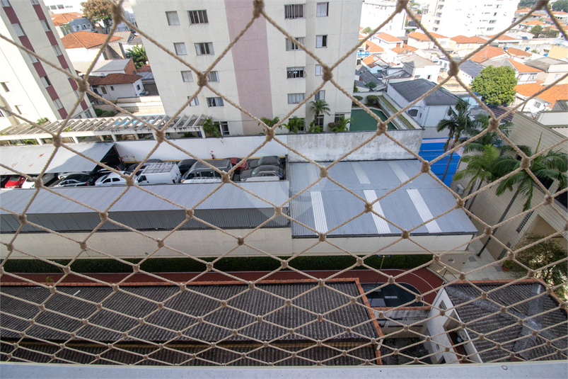 Foto REO1089274