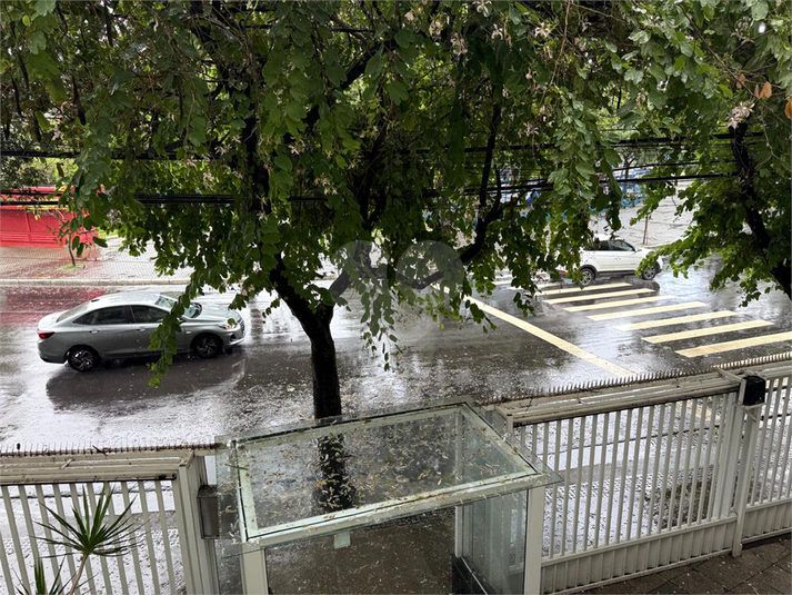 Foto REO1089287