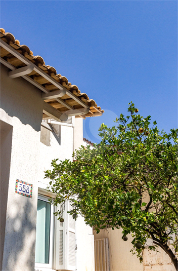 Foto REO10893