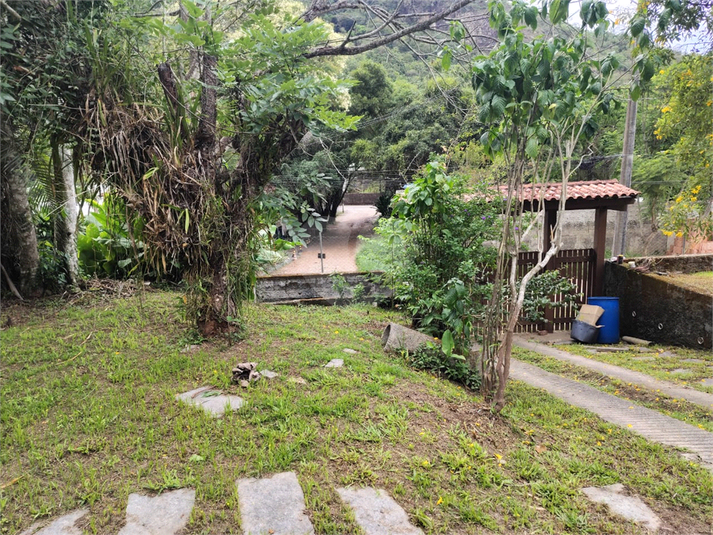 Foto REO1089306