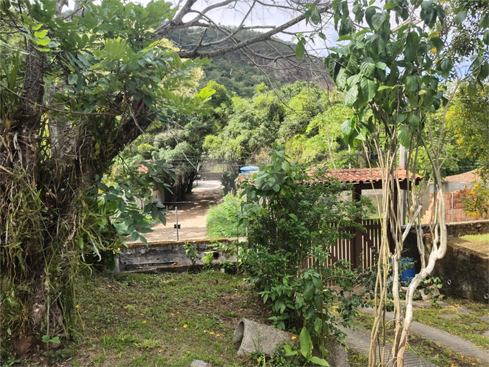 Foto REO1089306