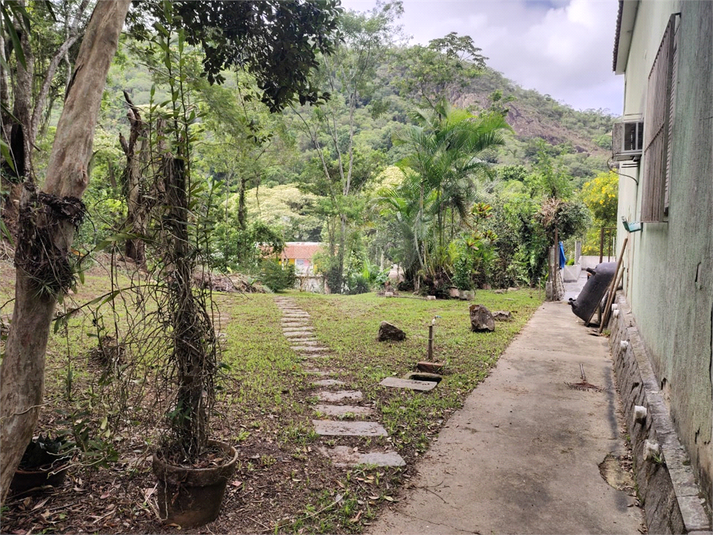 Foto REO1089306
