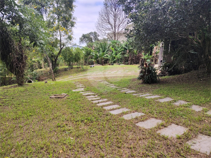 Foto REO1089306