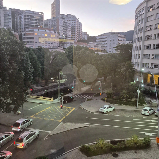 Foto REO1089314