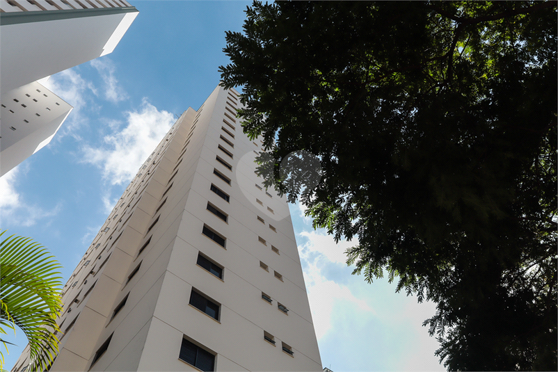 Foto REO1089315