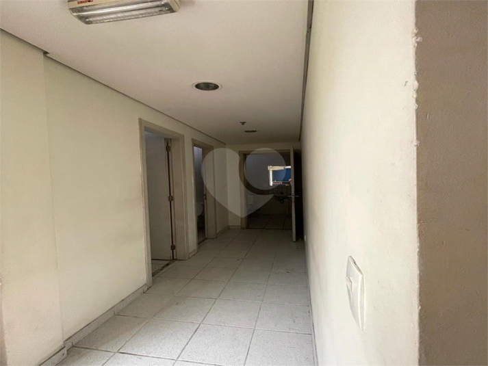 Foto REO1089316