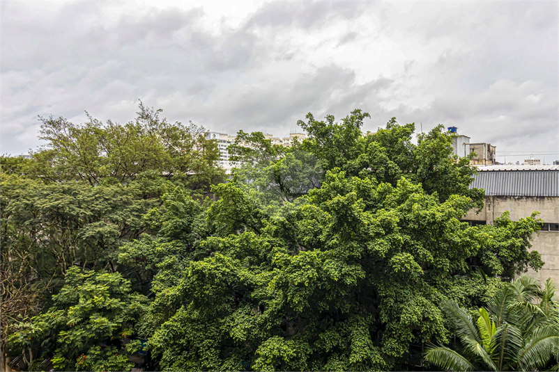 Foto REO1089317