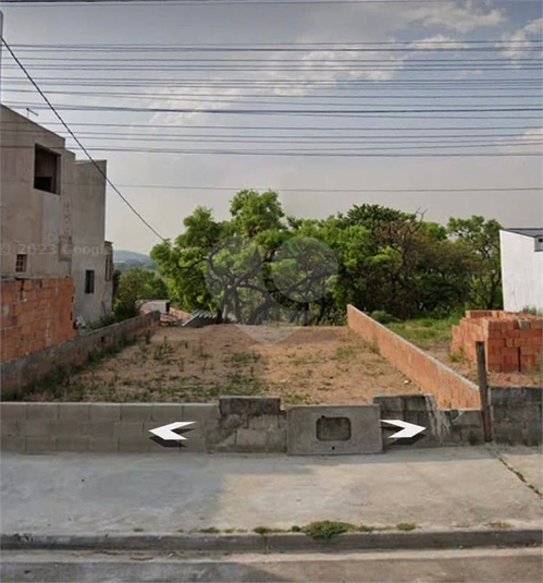 Foto REO1089327