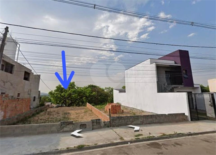 Foto REO1089327